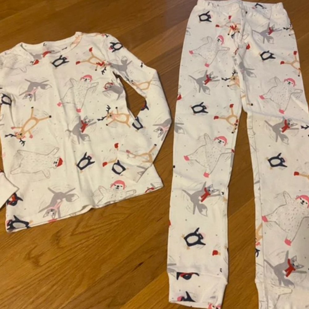 Gymboree Winter Pajamas